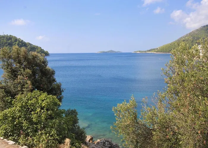 By The Sea Brna, Korcula - 9293 * Smokvica